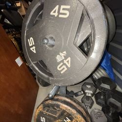 Olympic Weights And Benches