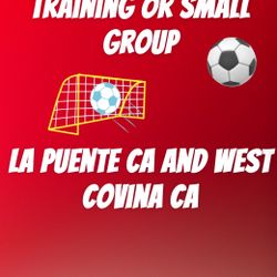 Private Soccer Training 