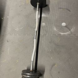 Weight Plates / Curl Bar.      60 Dollars 