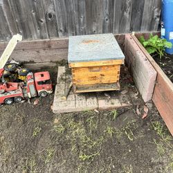 To Beehives Excellent Shape