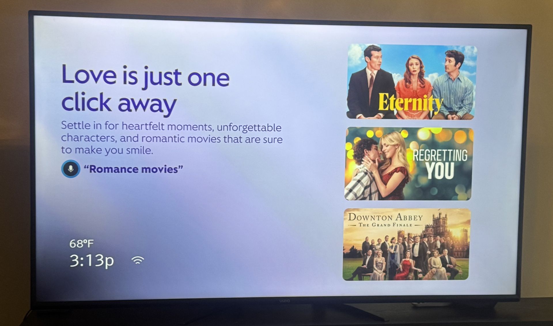 65” Vizio Flat Screen TV