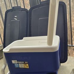 Igloo Cooler 