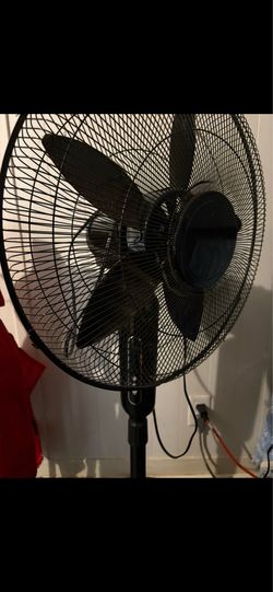 Fan