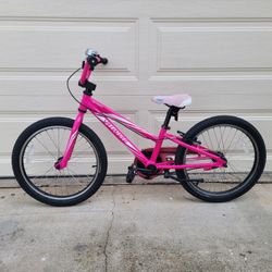 SPECIALIZED HOTROCK kids mountain bike. 20 tires. Single-speed w/ coaster brake. 9.5 ALUMINUM frame. Everything works. 