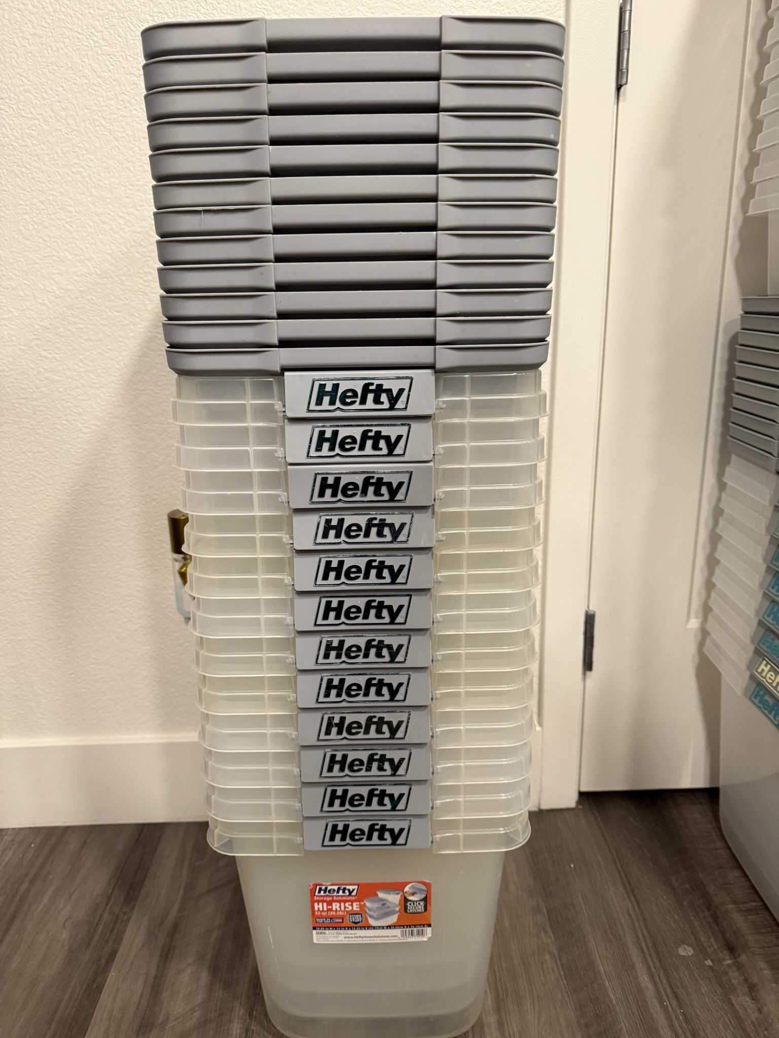 Hefty Storage Container