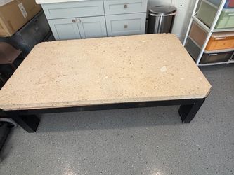 Stone fossilized sea shell coffee table