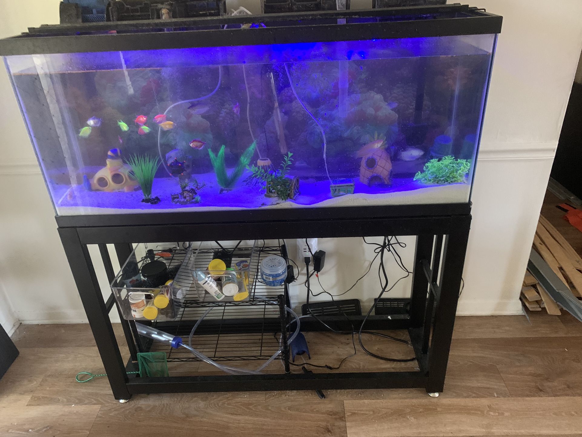 55 Gallon Fish Tank For Sale In Virginia Beach VA OfferUp 55-gallon-fish-tank-for-sale-in-virginia-beach-va-offerup