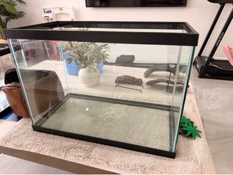Turtle Water aquarium