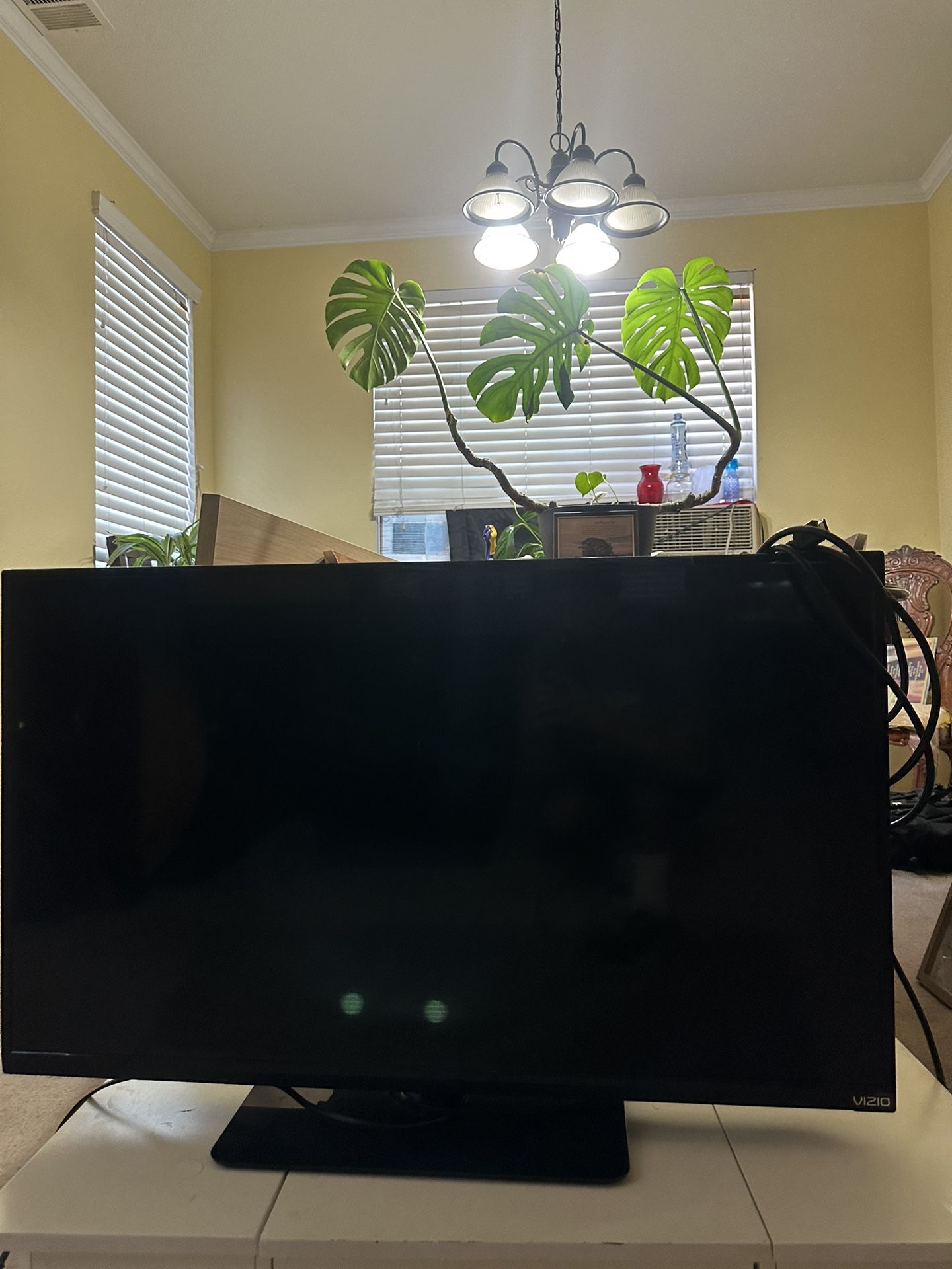 TV