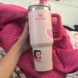 Official Stanley Tumbler – Pink & Hot Pink – Barely Used + Stickers! 