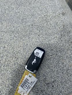 2019 Mustang Key Fob