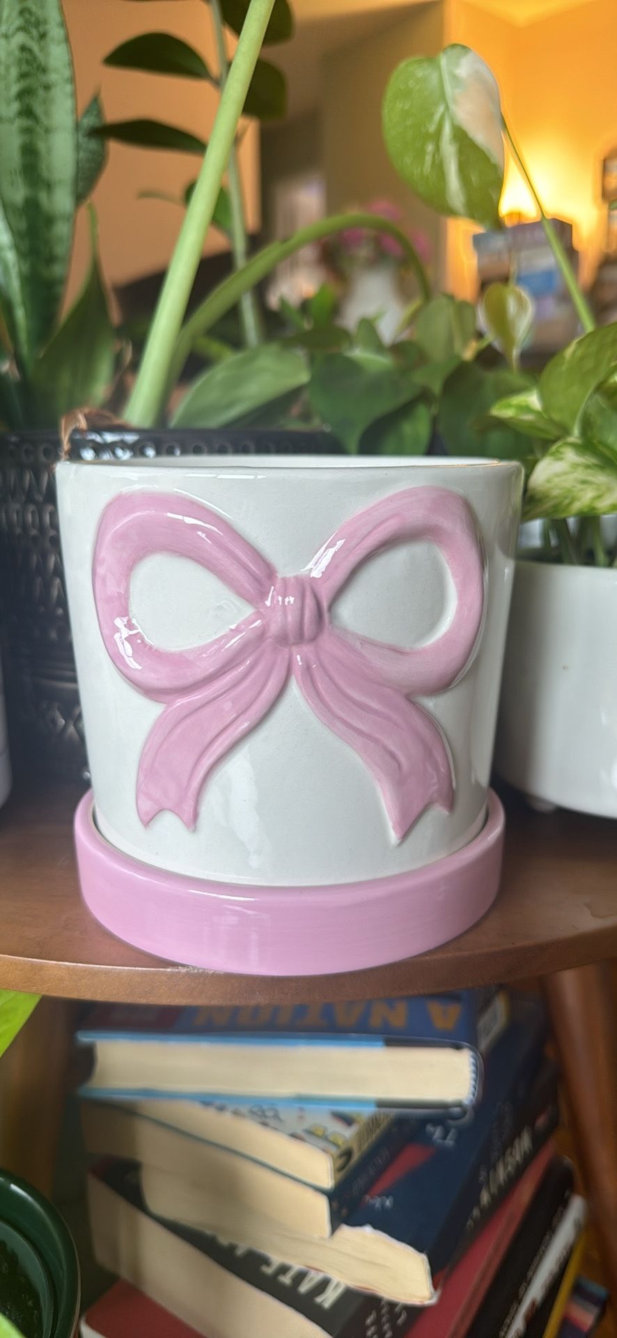 Ceramic Planter with Drainage Tray