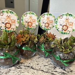 Succulent Arrangements! 