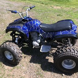 250 Tao Tao Quad