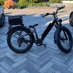 Radrover 6+ E-bike (NEED GONE)