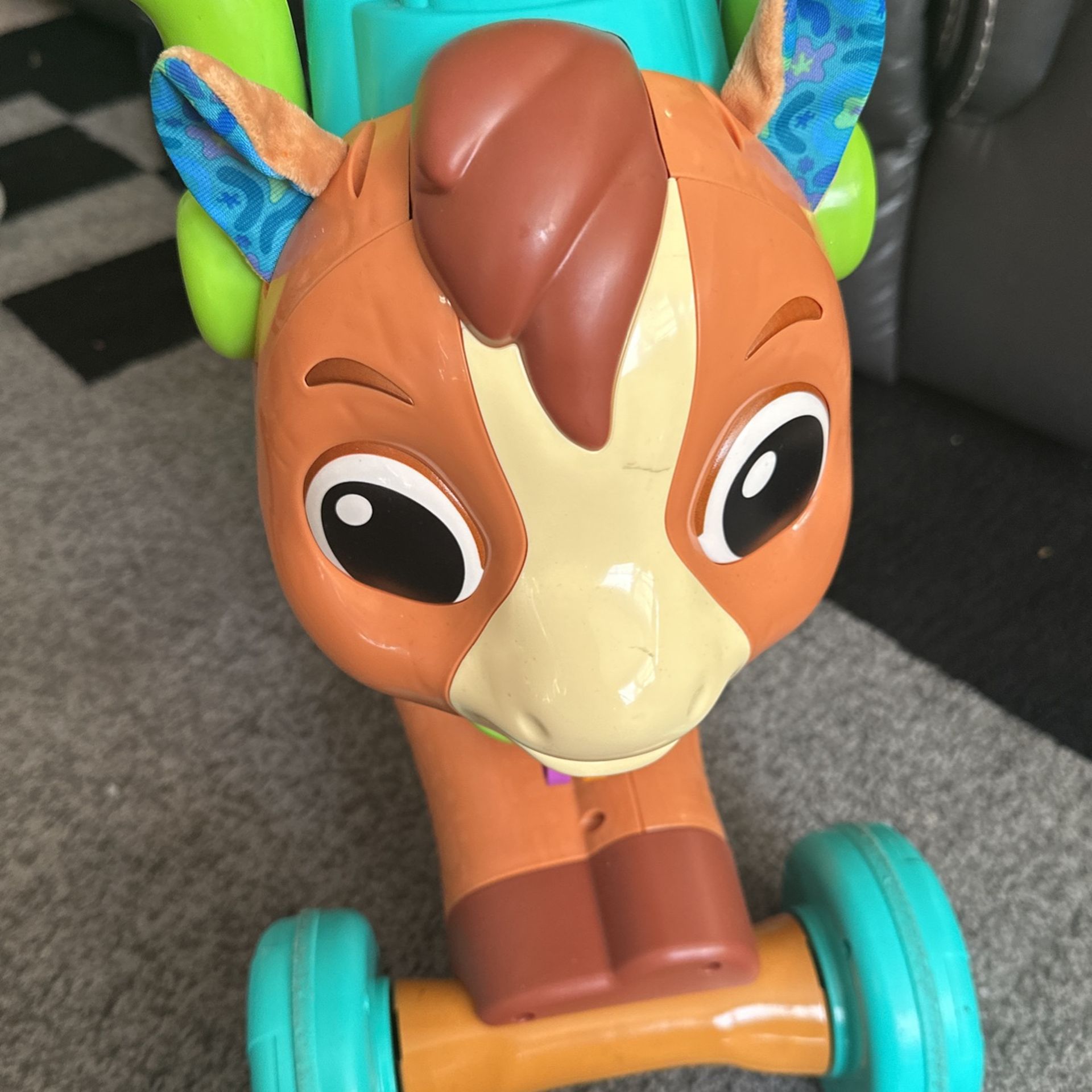 Horse