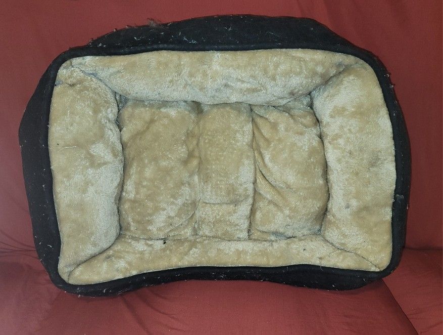 Small Dog Or Puppy Bed