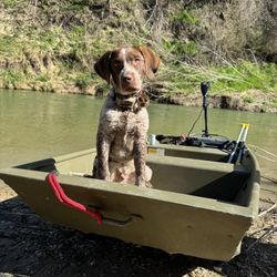 2009 Tracker Jon Boat 