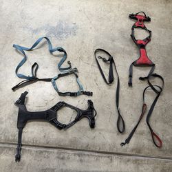 Free Large dog harness and Leash 3 sets