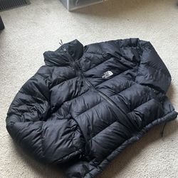 Cropped North Face Women’s Puffer