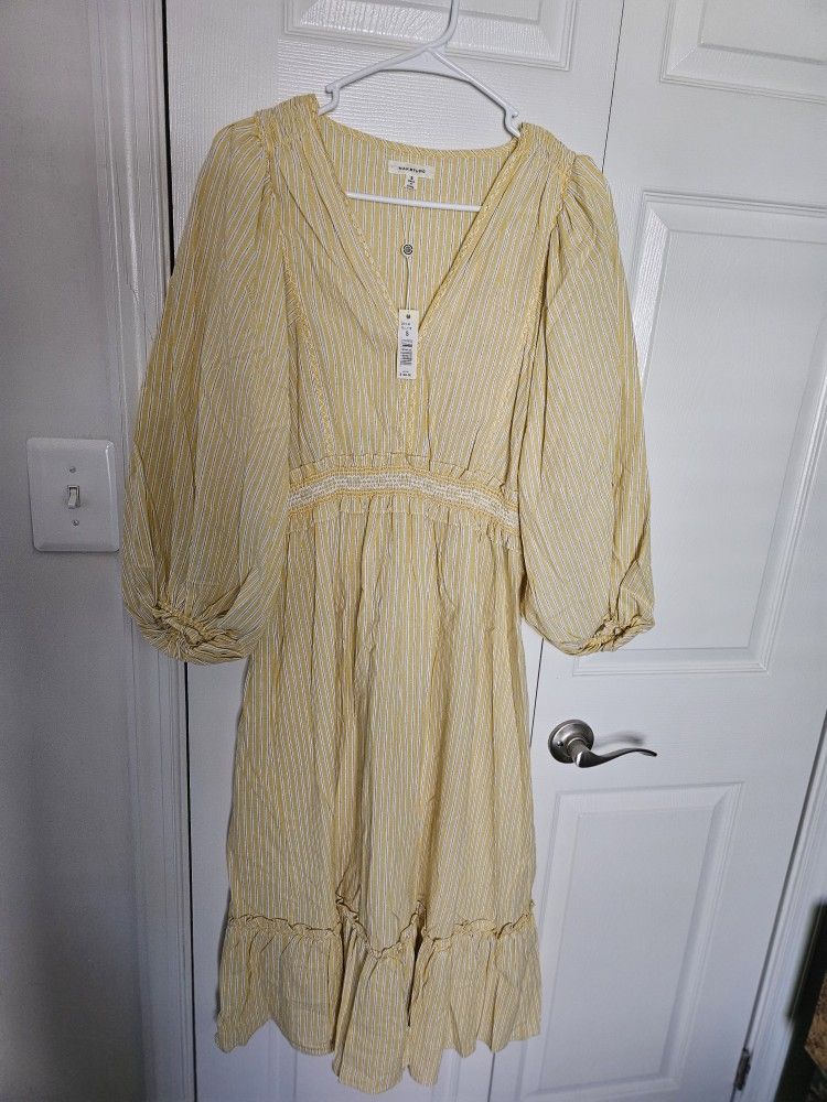 Max Studio Dress
