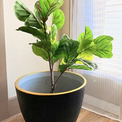 Modern Black And Gold Planter  