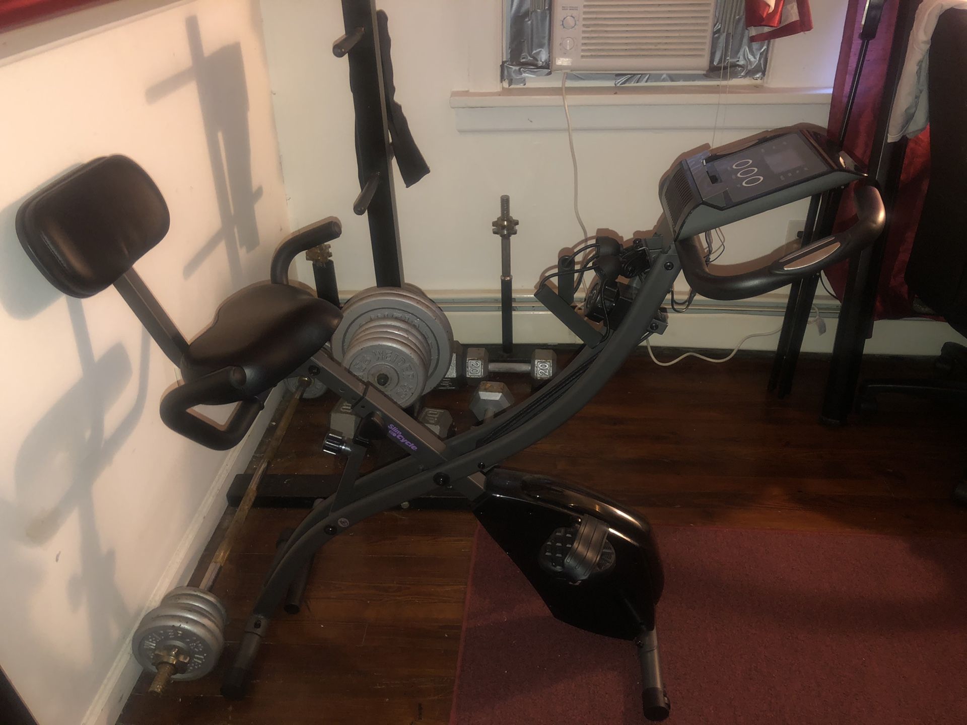 Exercise bike weight tree curl bar and over 300 pounds of weights also dumbbells