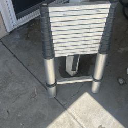 Telescoping Ladder