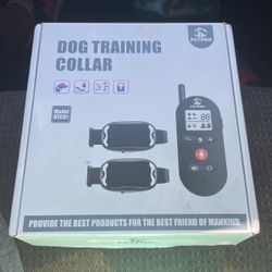 Dog Training Collar 
