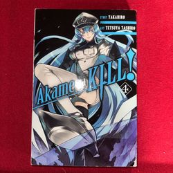 Akame Ga Kill Volume Four