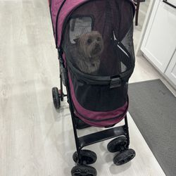 Dog Stroller