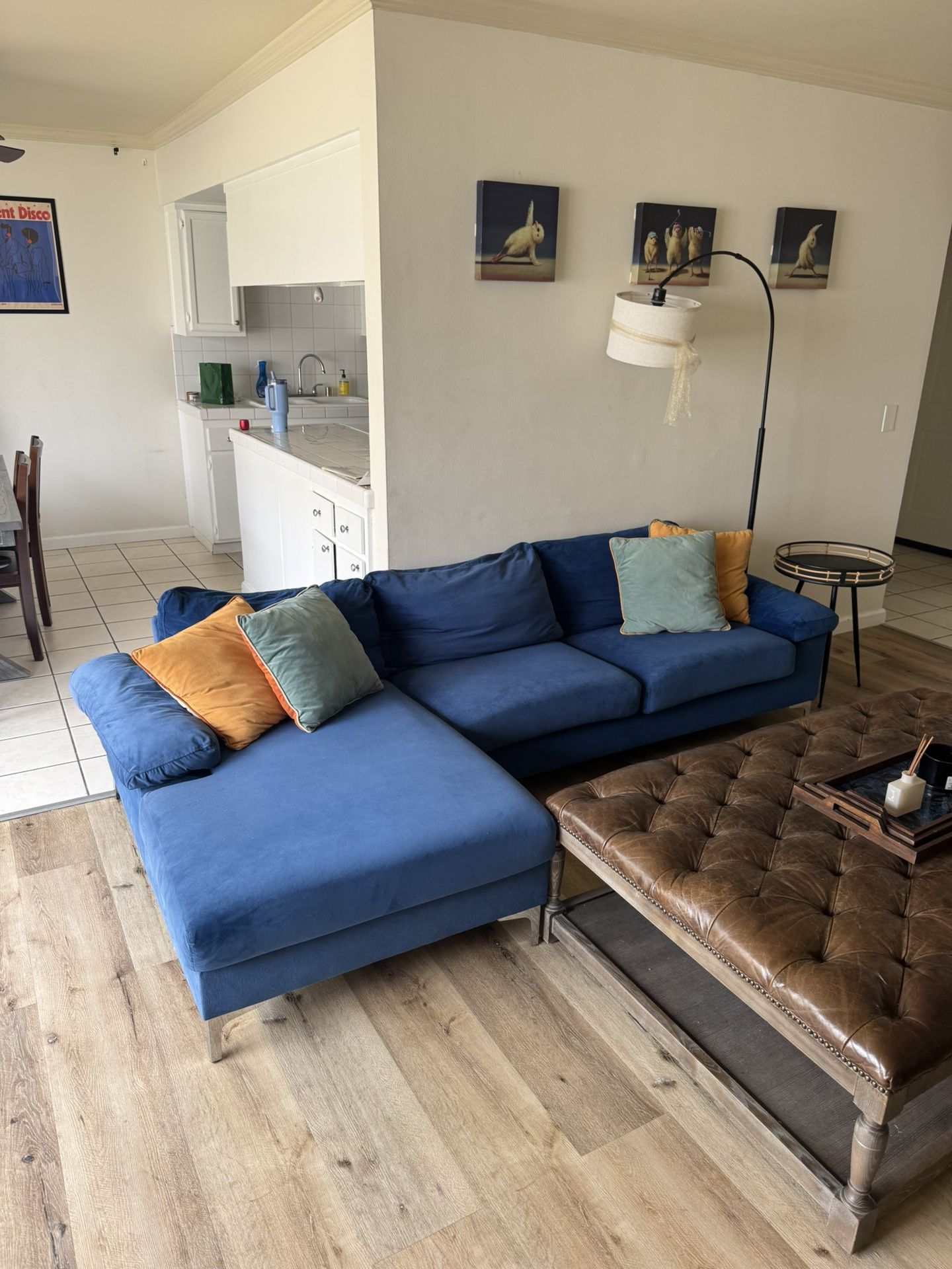Blue Velvet Couch