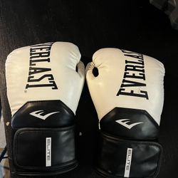 Everlast Elite 2 Boxing Gloves (16oz)