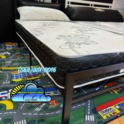 Twin Mattress Colchon Single New Individual Nuevo 