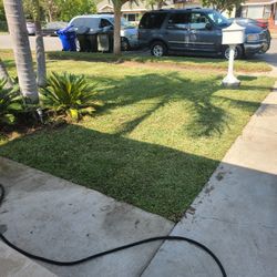 Sod Intalation