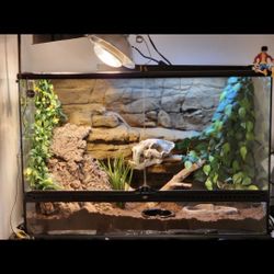 Exo Terra Glass Terrarium