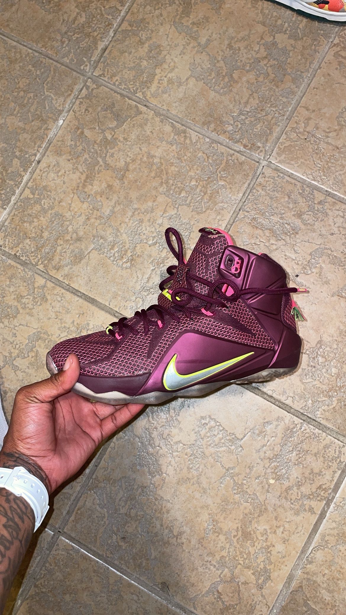 LBJ 12’s Double Helix