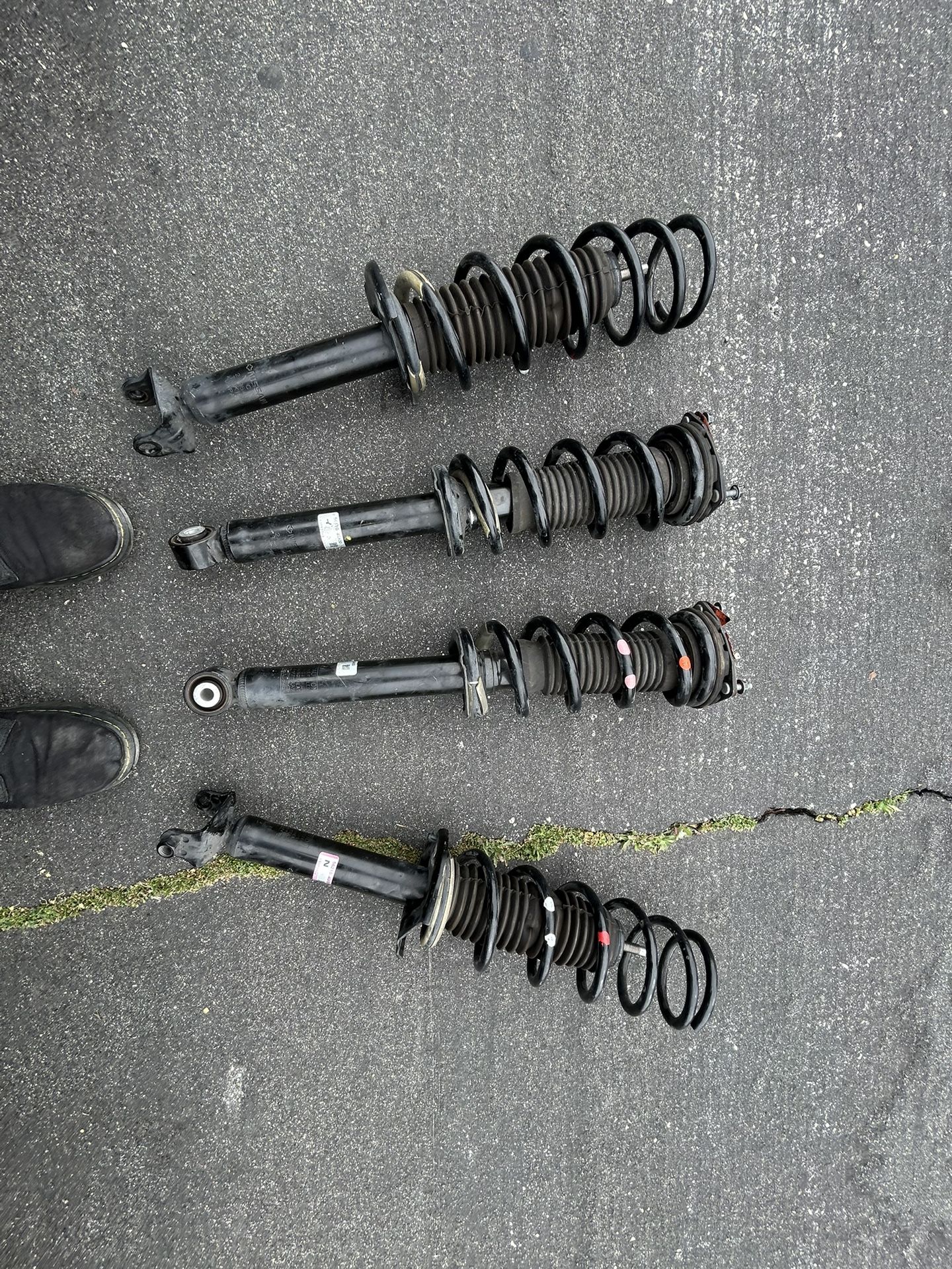 Q50 Shocks 