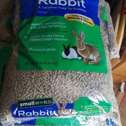 Rabbit / Bunny Food