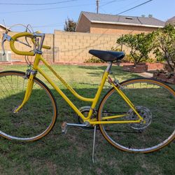 Vintage Schwinn Super Sport