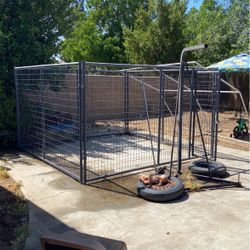 Big  Dog Kanel  I Think 12 By 12 I Now  It’s Big