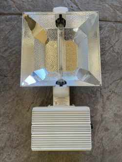 Grow Light