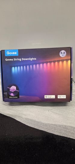 Govee String Downlights 9.8 FT White Version