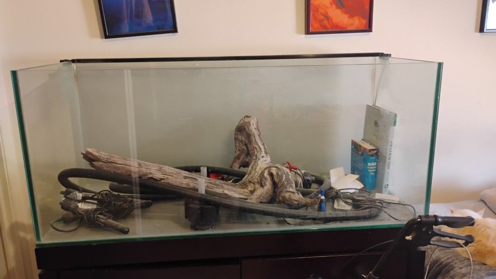 90 Gallon High Quality Fish Tank - Complete Setup