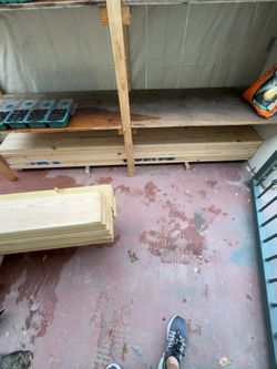 2in x 6in x 8ft wood studs