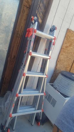 Little giant Velocity ladder