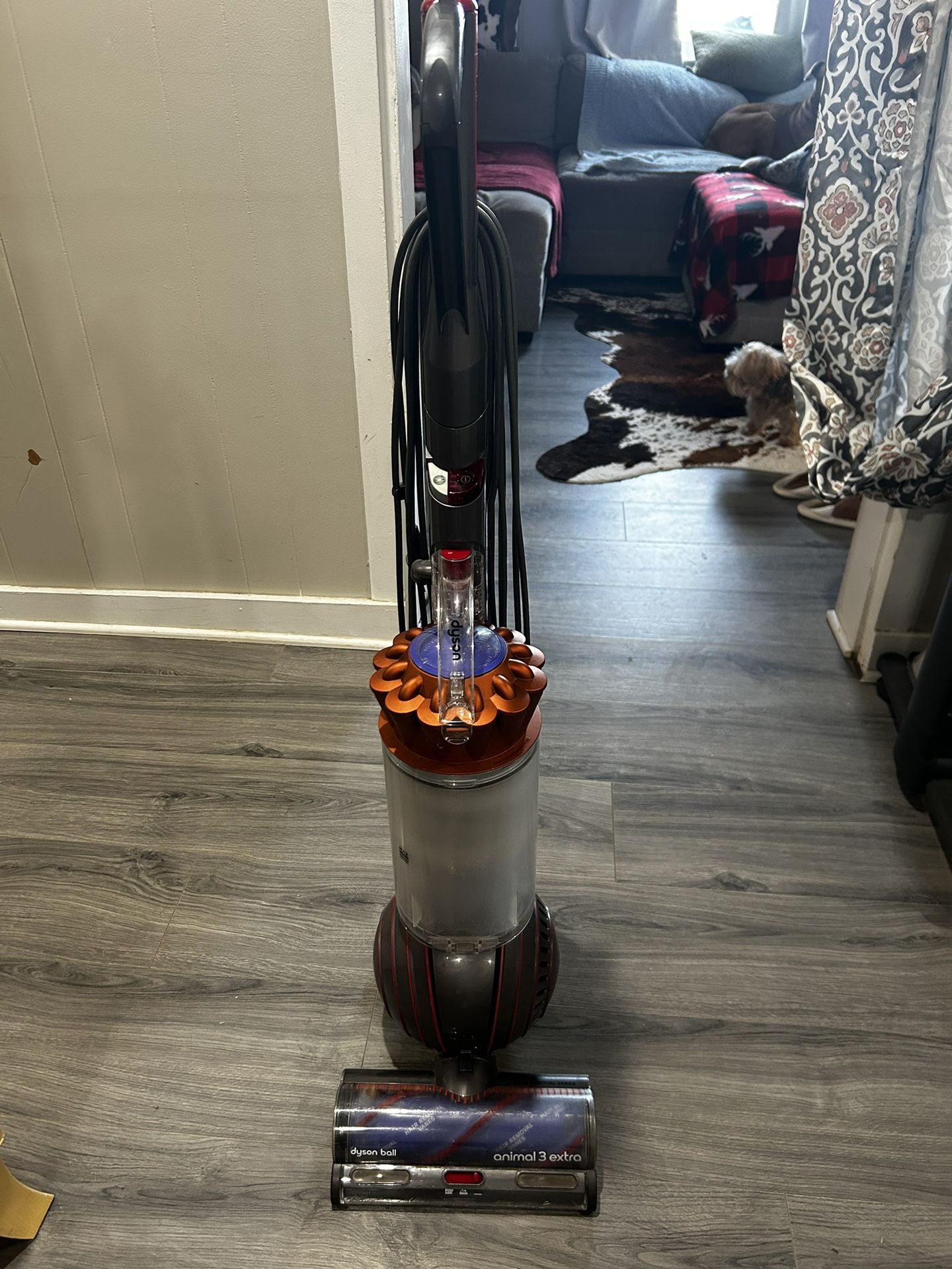 Dyson Animal 3 Extra Vacuum 