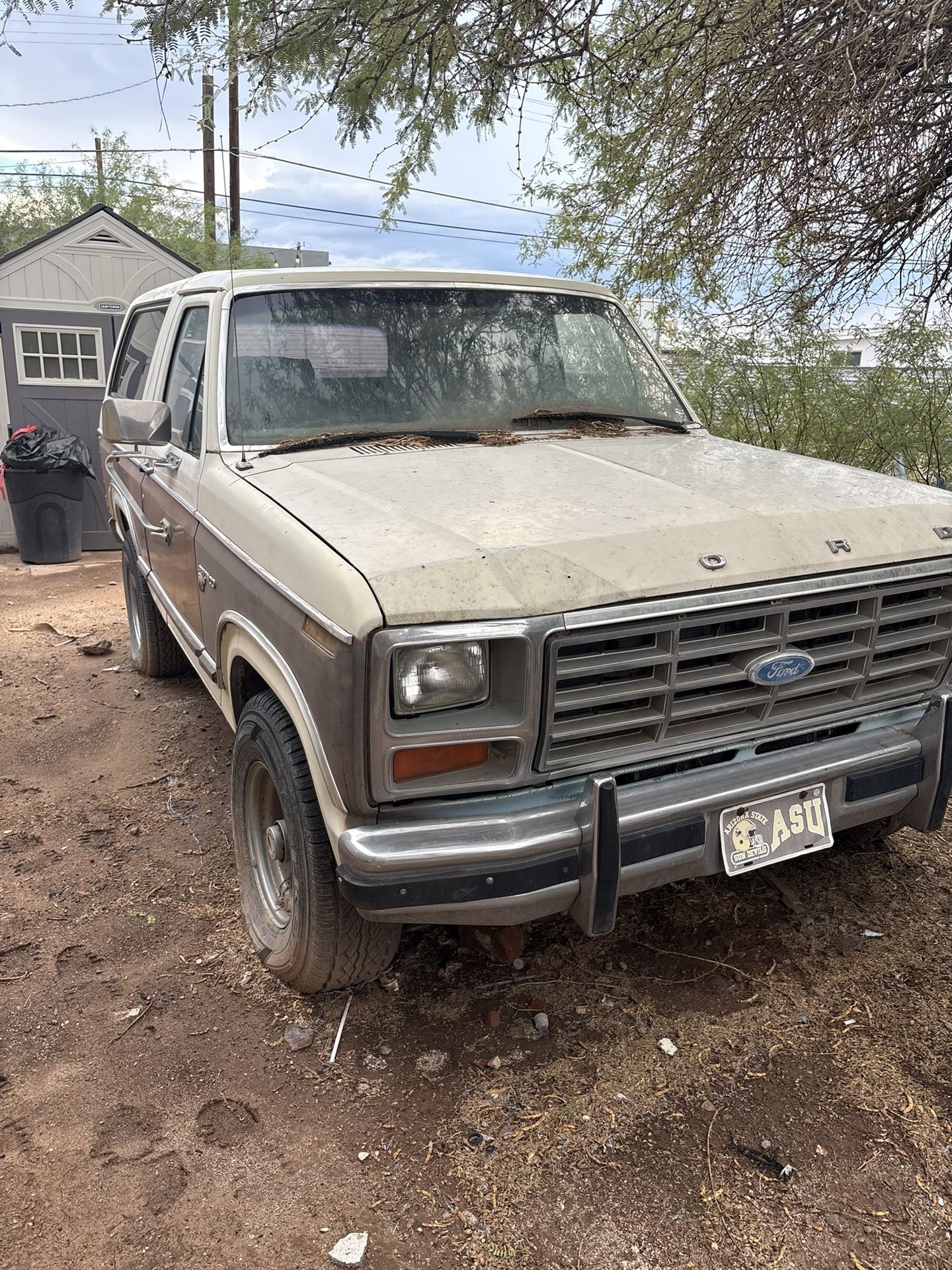 1981 Ford Bronco