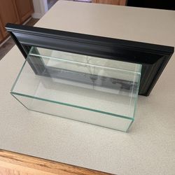 Wall Mounted Display Case - Baseballs / Collectibles