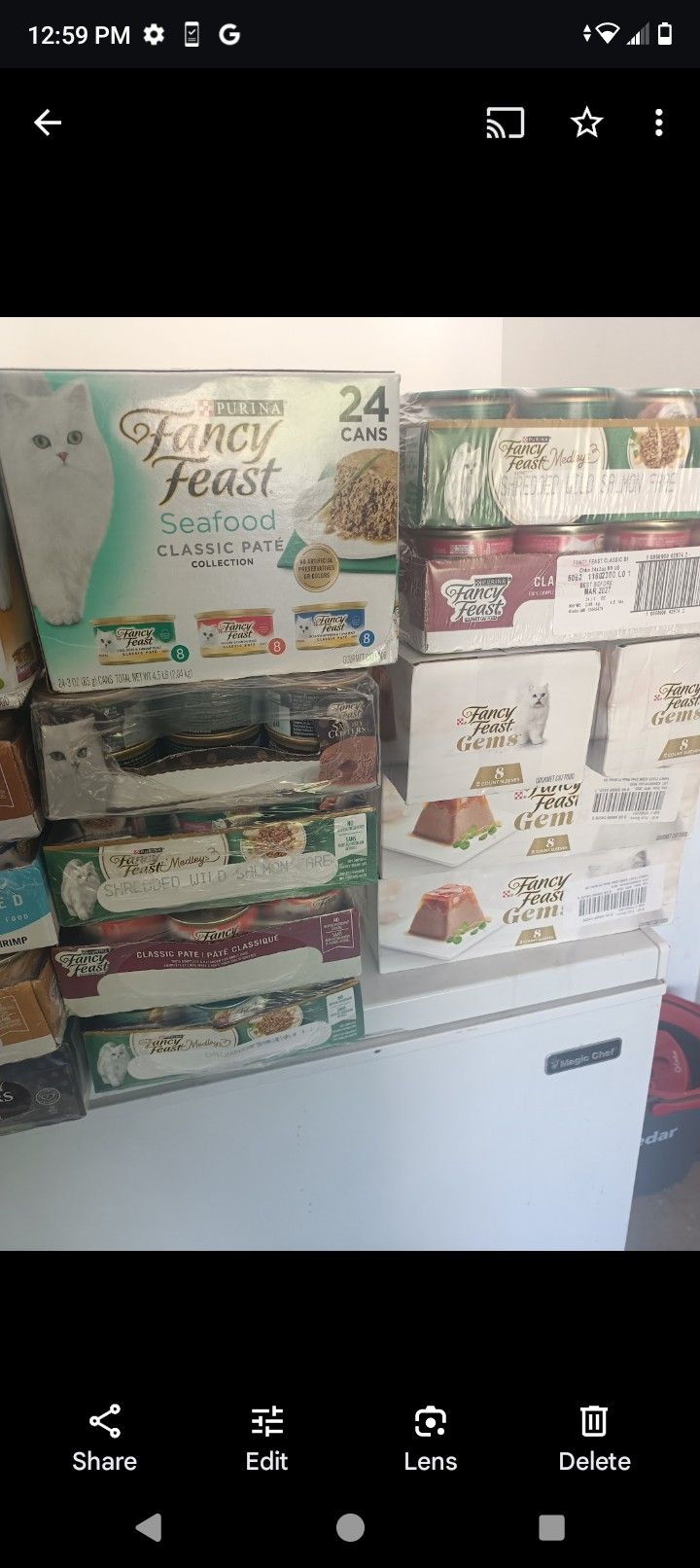 Cat food/Kitten